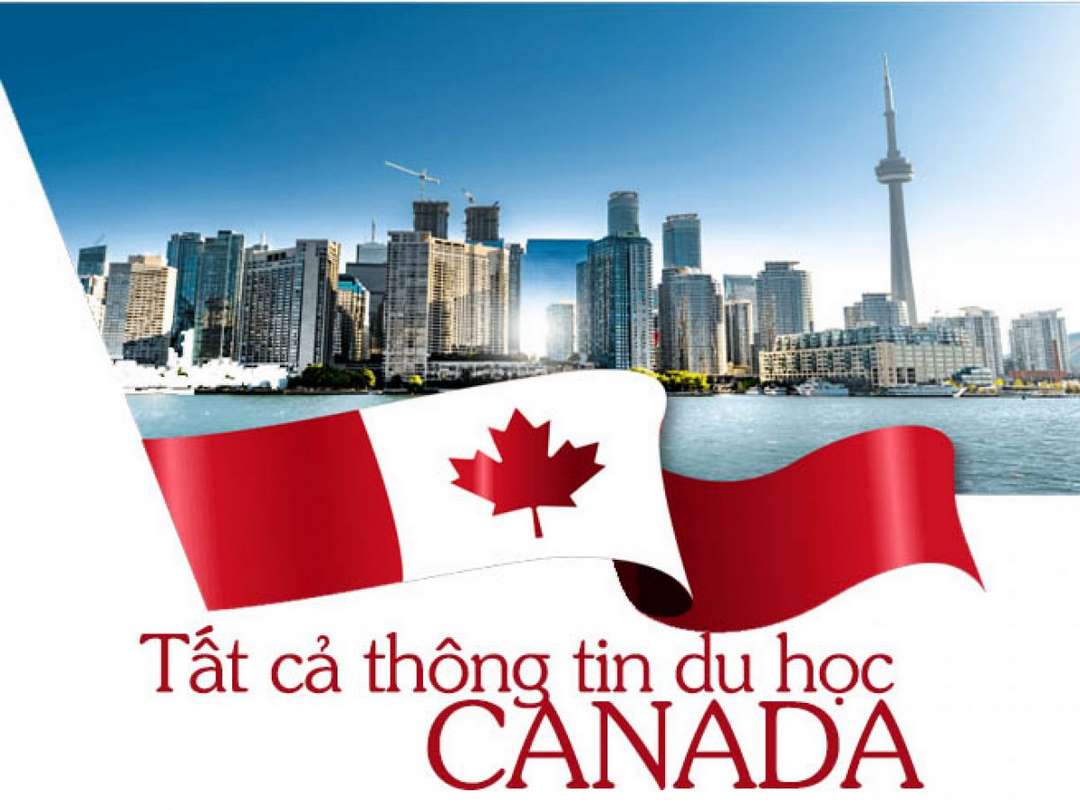 Tư vấn các khóa học và lộ trình của sinh viên khi du học Canada