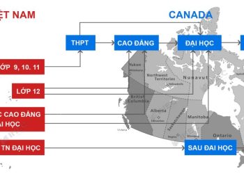 Du học Canada không cần IELTS là gì?