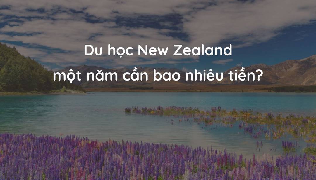 Học phí tại New Zealand thường từ 3.000 NZD đến 30.000 NZD mỗi năm học