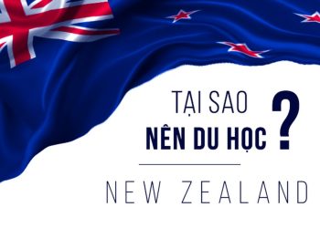 du học sinh có thể làm việc tối đa 20 giờ/tuần trong kỳ học