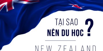 du học sinh có thể làm việc tối đa 20 giờ/tuần trong kỳ học