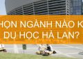 Các Ngành Học Tại Hà Lan