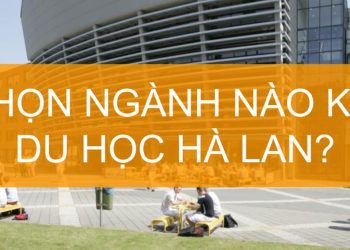 Các Ngành Học Tại Hà Lan