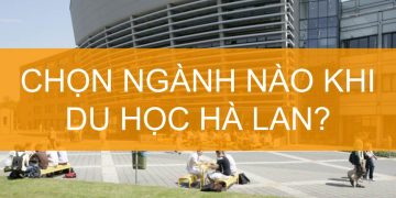 Các Ngành Học Tại Hà Lan