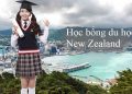 Tìm hiểu về các học bổng chính phủ New Zealand