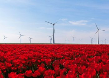 Hà Lan là một trong những nước phát triển mạnh về kinh tế