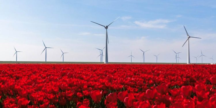 Hà Lan là một trong những nước phát triển mạnh về kinh tế