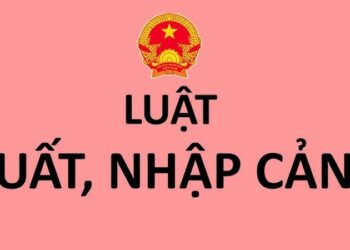 Sử dụng dịch vụ luật xuất nhập cảnh giúp tránh rủi ro pháp lý